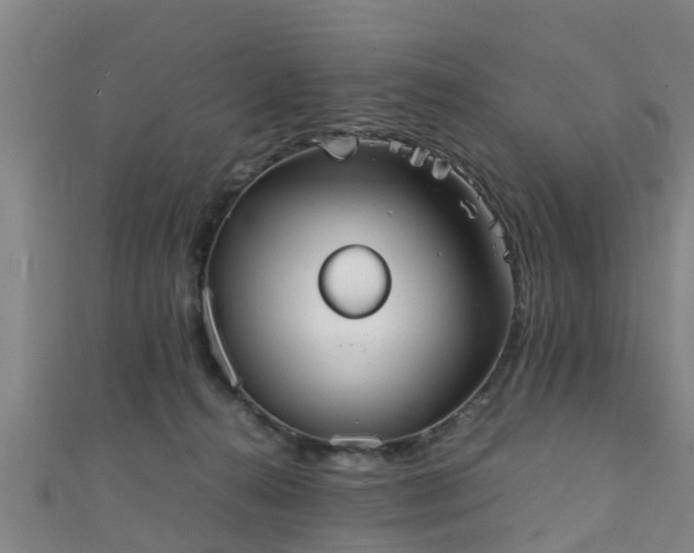 X0000111350272200907171149