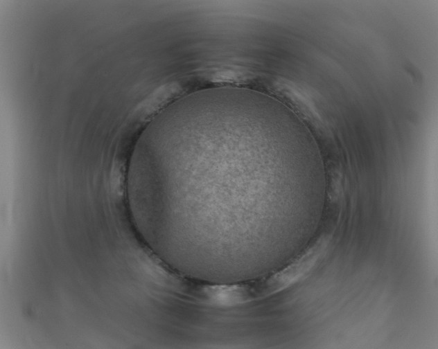 X0000111350273200907171149