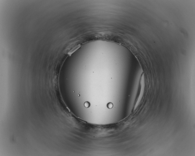 X0000111350276200907171149