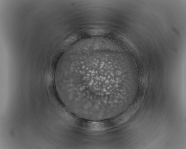 X0000111350277200907171149