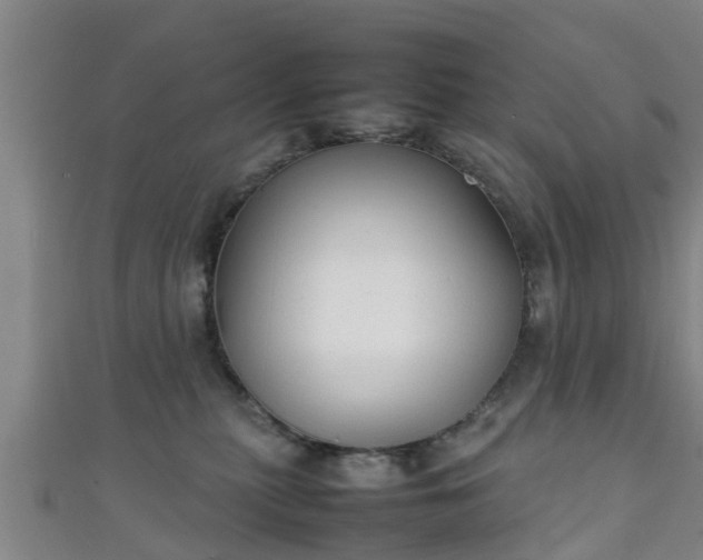 X0000111350279200907171149