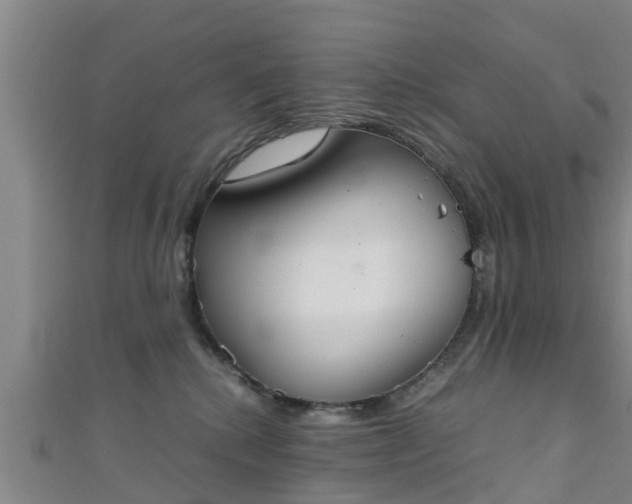 X0000111350280200907171149