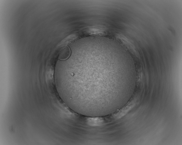 X0000111350281200907171149