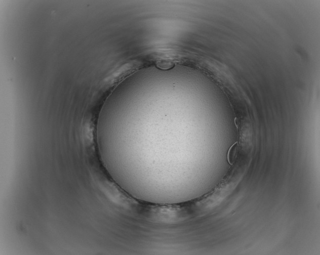 X0000111350282200907171149