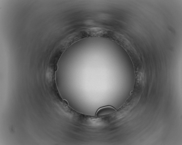 X0000111350283200907171149