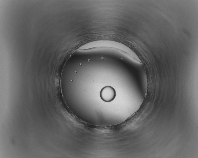 X0000111350284200907171149