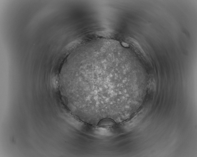 X0000111350285200907171149