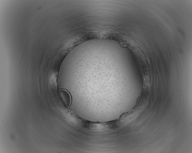 X0000111350286200907171149