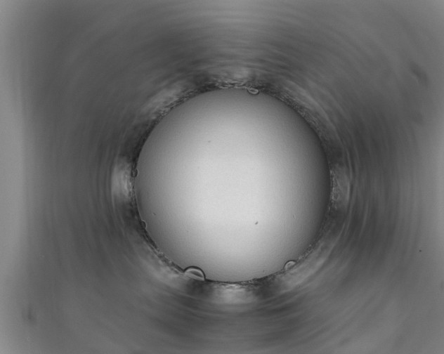 X0000111350287200907171149