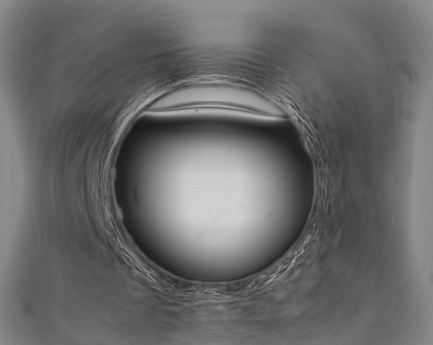 X0000111350289200907171148