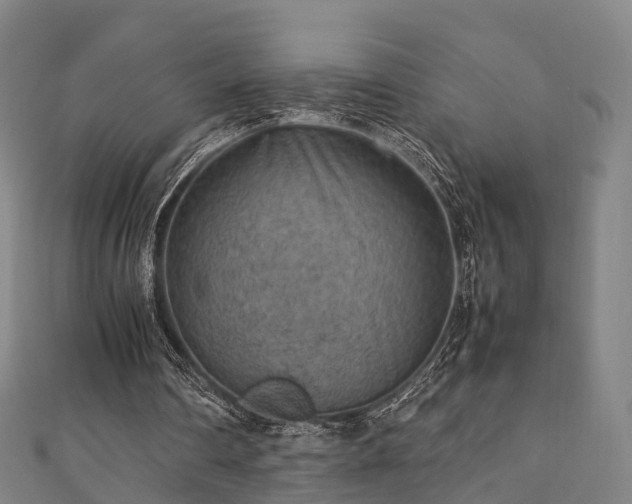 X0000111350290200907171148