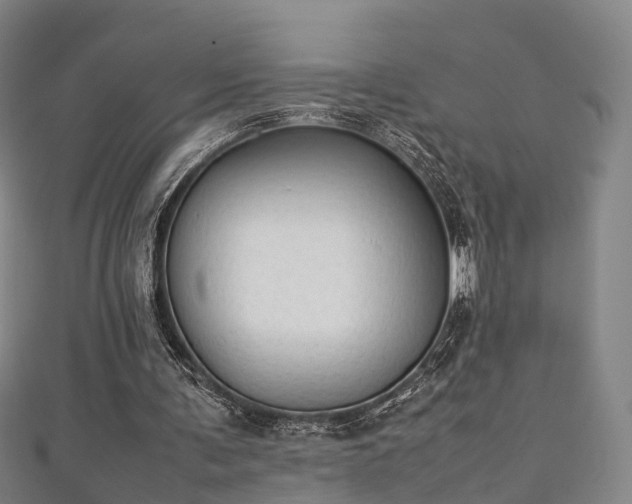 X0000111350291200907171148