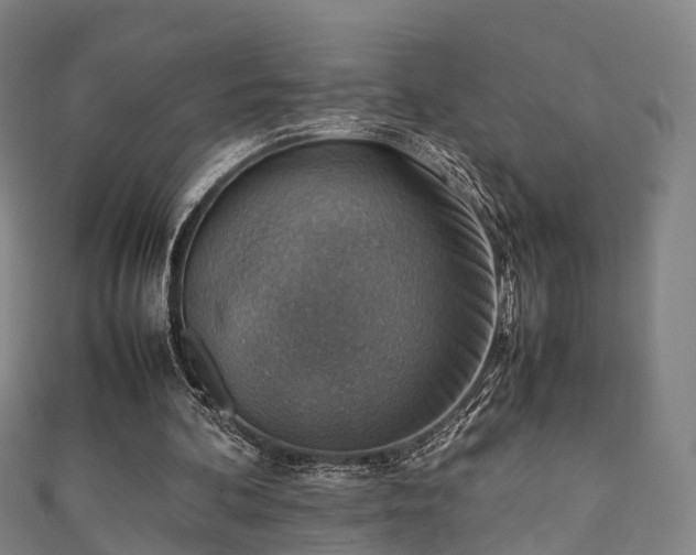 X0000111350292200907171148