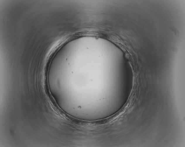 X0000111350293200907171148