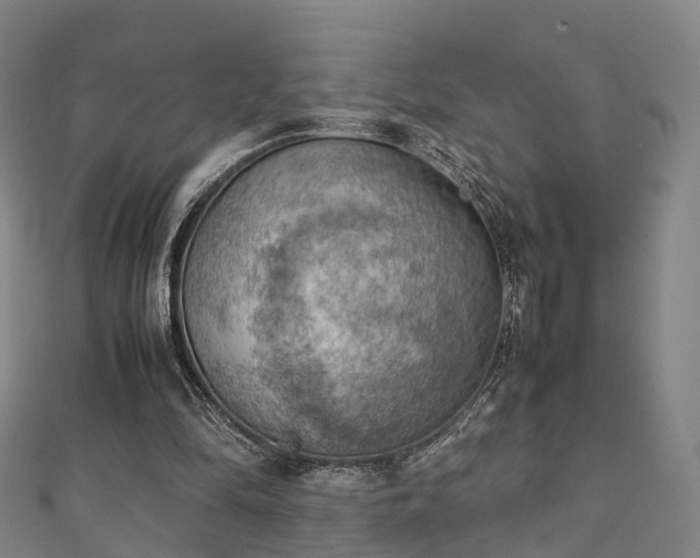 X0000111350294200907171148