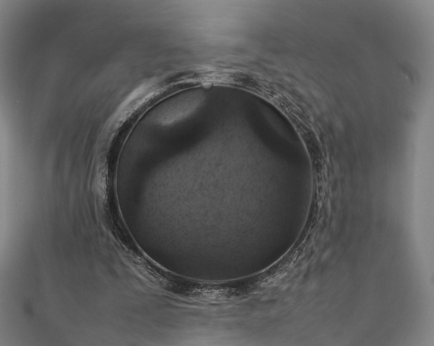 X0000111350295200907171148