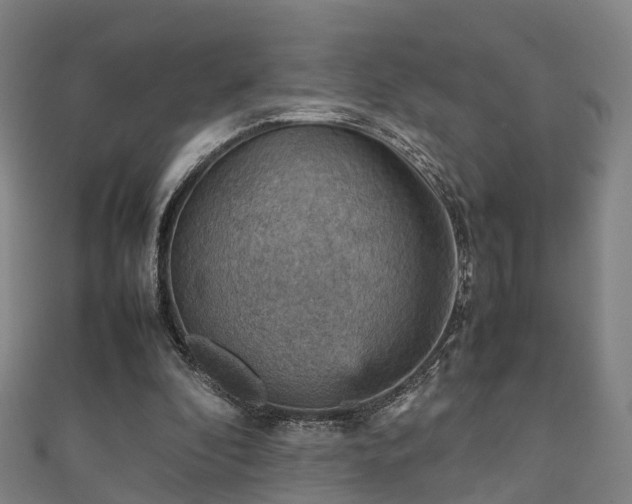 X0000111350296200907171148