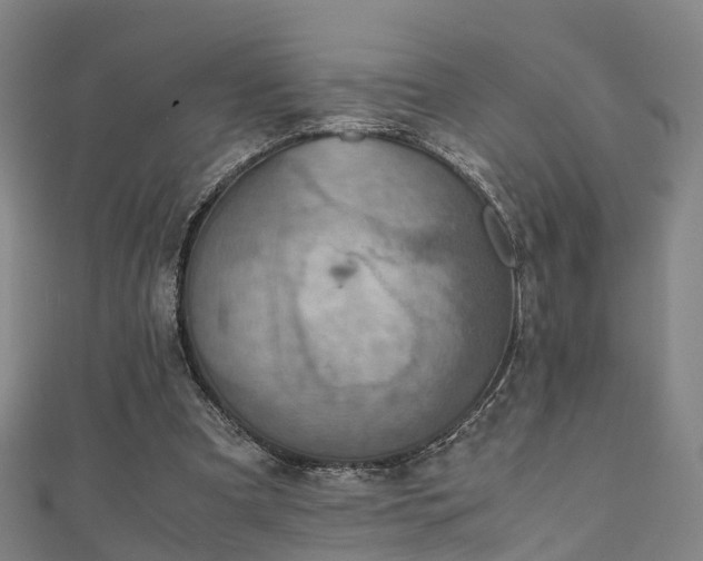 X0000111350297200907171148