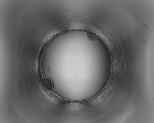 X0000111350298200907171148