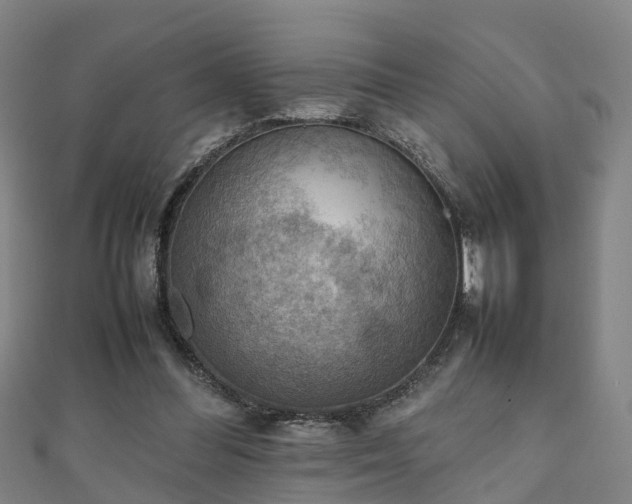 X0000111350300200907171148