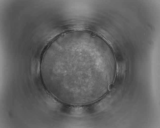 X0000111350301200907171148