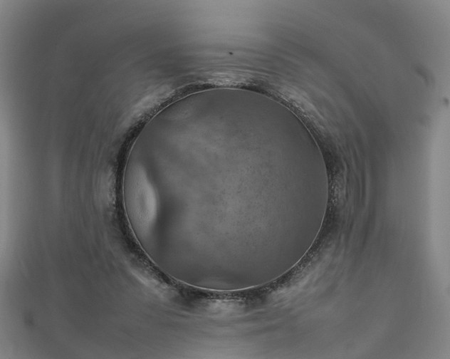 X0000111350303200907171148