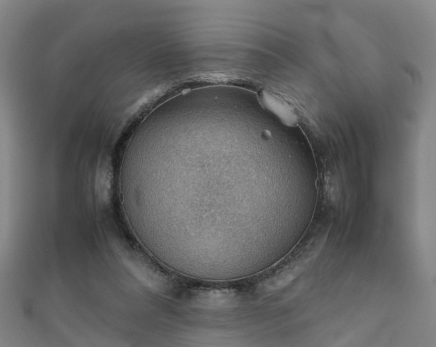 X0000111350304200907171148