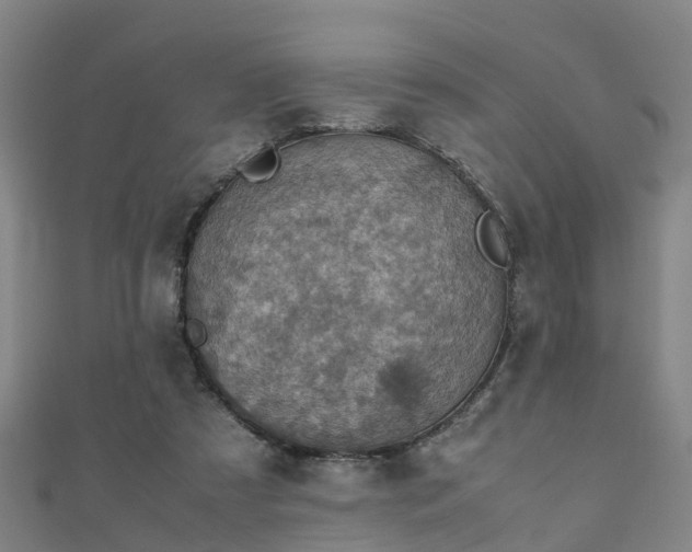 X0000111350305200907171148