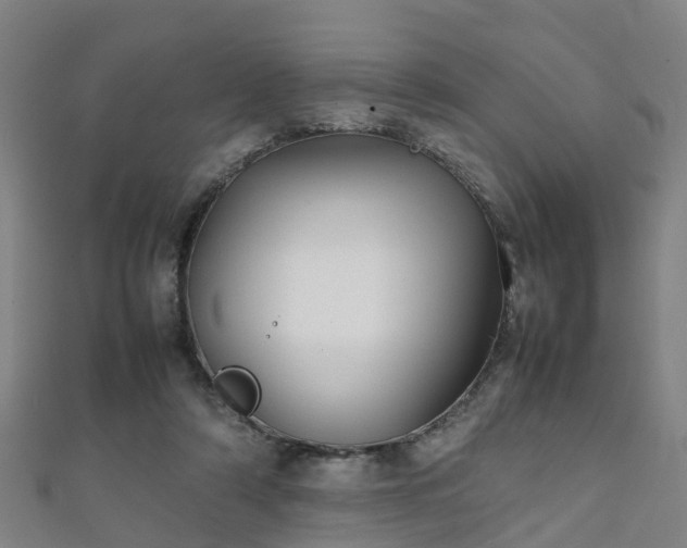 X0000111350306200907171148