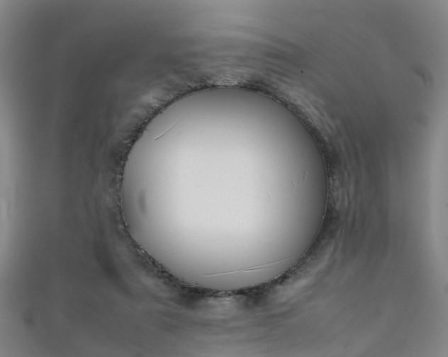 X0000111350307200907171148