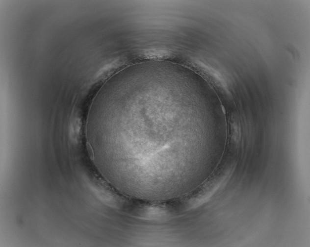 X0000111350308200907171148