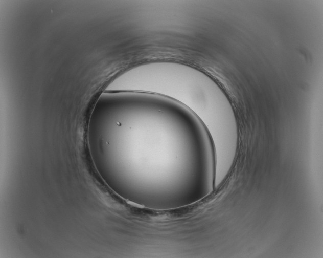 X0000111350309200907171148