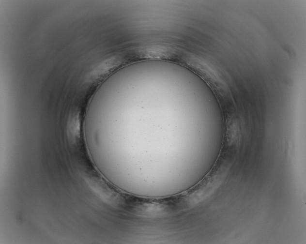 X0000111350310200907171148