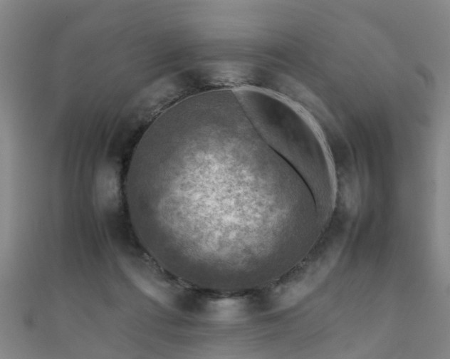 X0000111350312200907171148