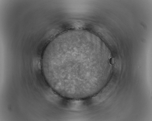 X0000111350313200907171148