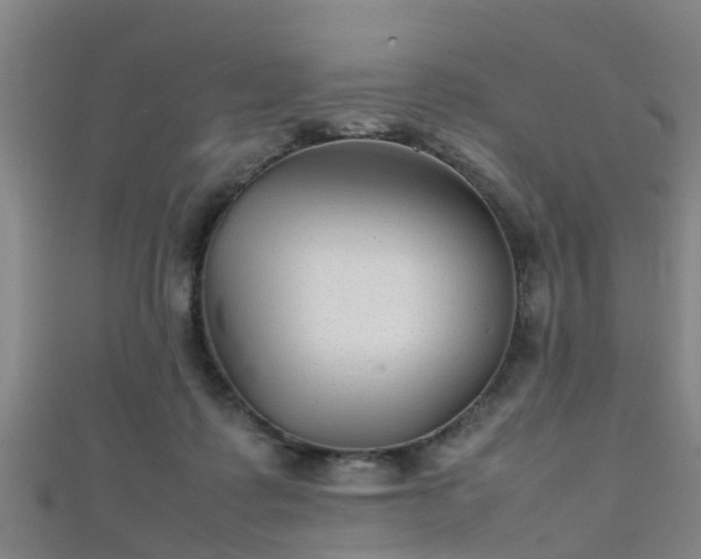 X0000111350315200907171148