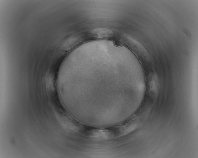 X0000111350316200907171148