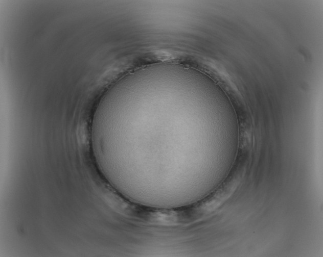 X0000111350317200907171148