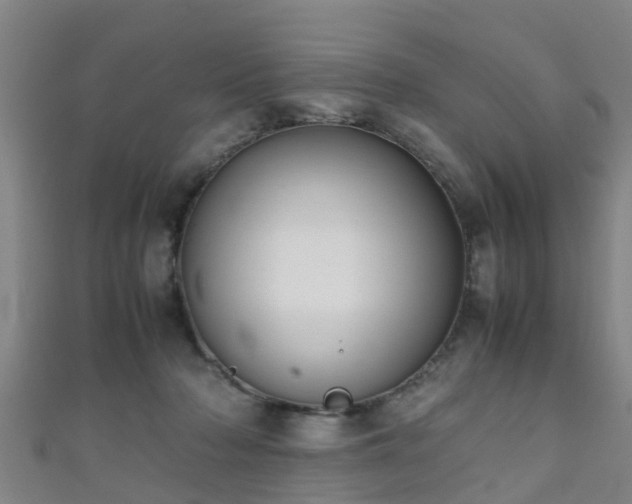 X0000111350318200907171148