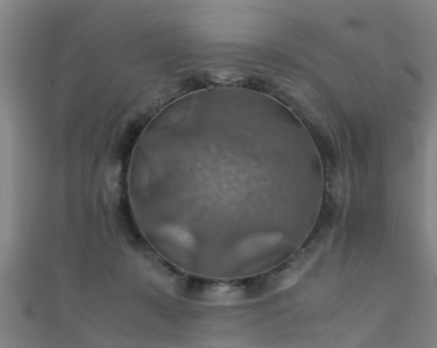 X0000111350319200907171148