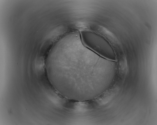 X0000111350320200907171148