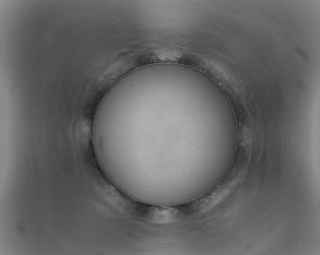 X0000111350321200907171148