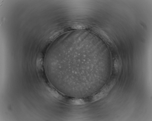 X0000111350322200907171148