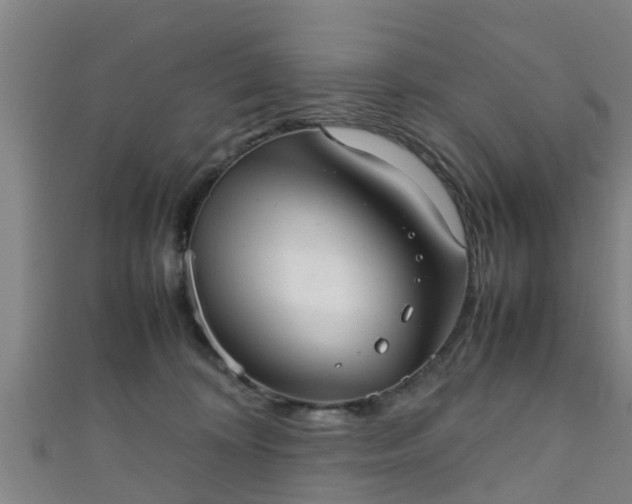 X0000111350324200907171148