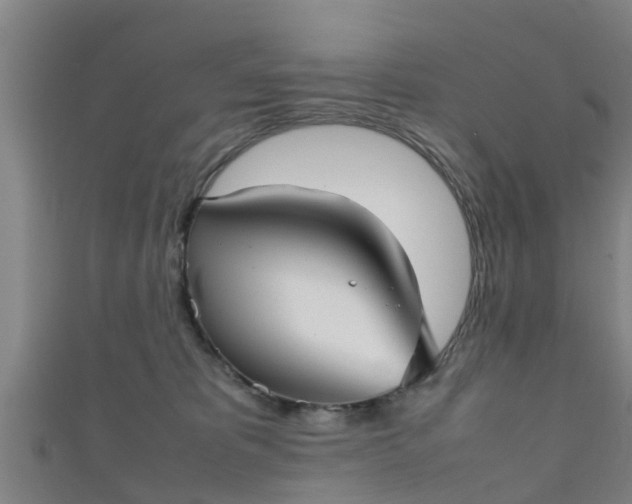 X0000111350325200907171148