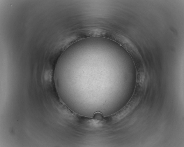 X0000111350326200907171148