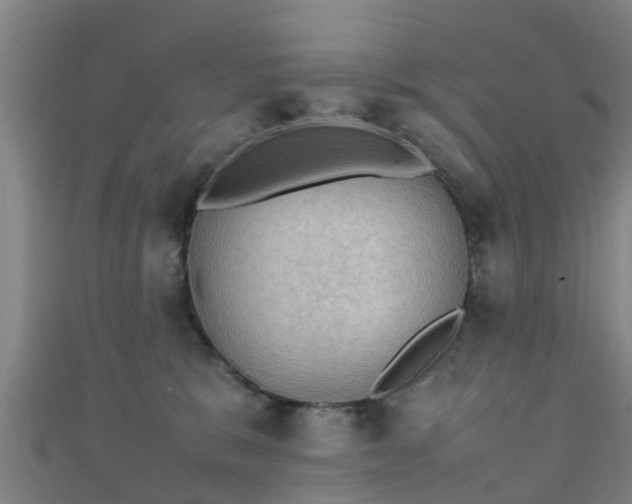 X0000111350327200907171148