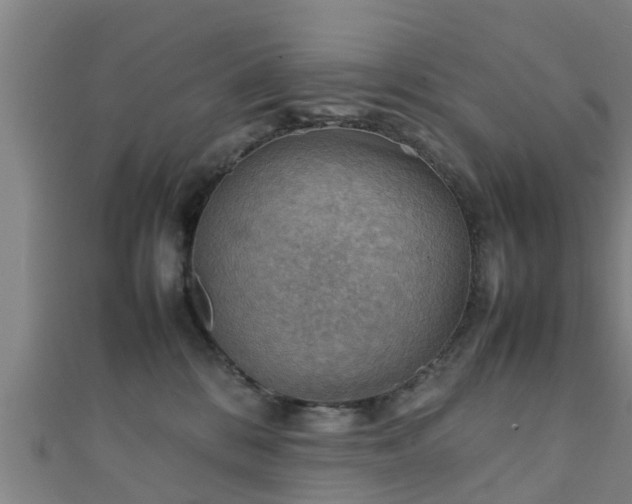 X0000111350328200907171148