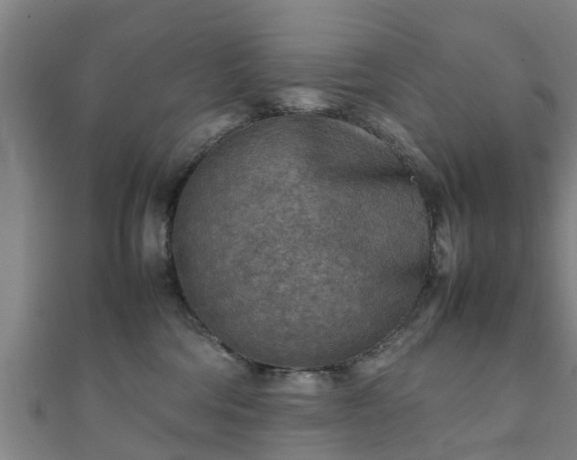 X0000111350330200907171148