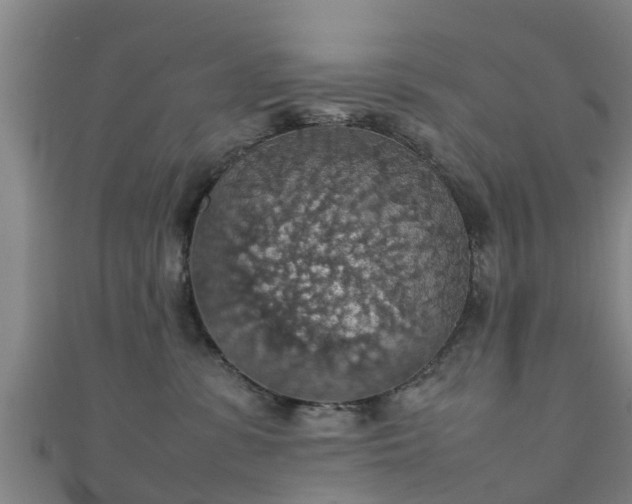 X0000111350331200907171148